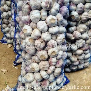 New Crop 5.5cm Normal White Fresh Garlic In 10 kg Mesh Bag Packing thumbnail-1