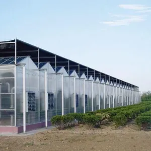 Modern Venlo Type Intelligent Greenhouse Covering PC Sheet thumbnail-5