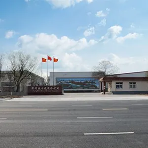 Cangzhou Grand Dragon Trading Co., Ltd. company overview - view 1 thumbnail