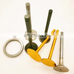 For TBD 604 BV12 616 V16 Tbd616 Tbd604 Mwm Deutz Piston Ring Marine Parts Diesel Engine Intake Exhaust Valve Guide Seat Insert thumbnail-2
