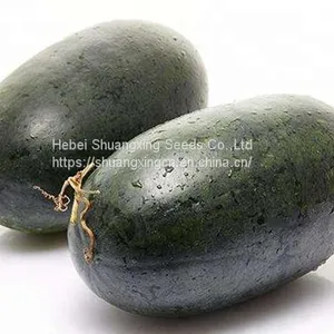 Early Maturity Red Flesh Hybrid f1 Watermelon Seeds thumbnail-4