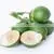 Vietnam High Quality Fresh Areca Nut/Betel Nuts thumbnail-1