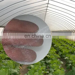 High Quality HDPE Fruit Tree Anti-insect Net 40 Mesh for Vegetable Gardens thumbnail-1
