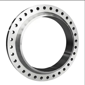 Stainless Steel Carbon Steel Neck Butt Weld Flange thumbnail-2