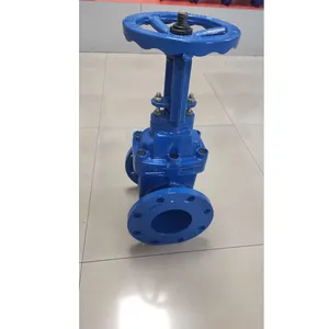 BS Rising Stem Resilient Seat Gate Valve Flanged End PN10 PN16 thumbnail-1