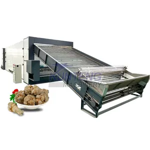 Biomass Pellets/Wood/Coal Heating Drying Machine Cassava Chili Continuous Mesh Belt Dryer EPC thumbnail-1