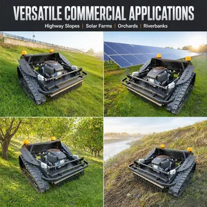 VIGORUN Quality Electric Lawn Mower 48V 1000W Servo Motor Multifunction Garden Lawn Mower Tractor For Forestry thumbnail-2