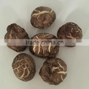 Price for Wholesale Dried Shiitake 1KG thumbnail-4