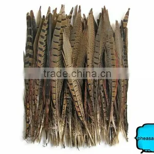 Wholesale Reeves Pheasant Tail Feathers, Natural Pheasant Tail Feathers thumbnail-2