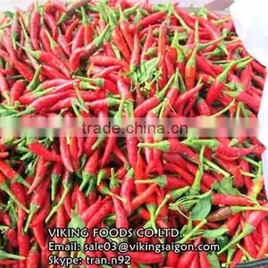 Fresh/Dried/Frozen/Powder Red Hot Chili From Vietnam! thumbnail-5