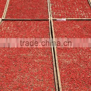 2016 DRIED WOLFBERRY Lycium Barbarum thumbnail-2