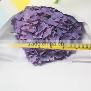 Elegant in Smell Top Sell Indoor Decoration Flower of Hydrangea thumbnail-4