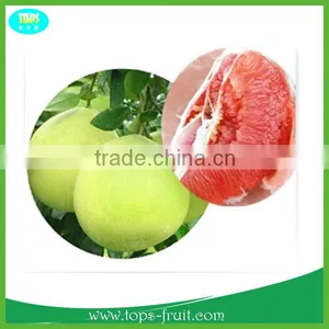 China Pinghe Red Pomelo thumbnail-1