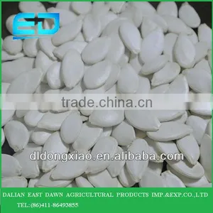 Chinese Shop Online Plant Seeds for Agricultural Snow White Pumpkin Seeds thumbnail-2