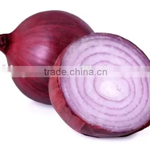 Hot Sale Fresh Red Onion With Good Quality for Sale thumbnail-2