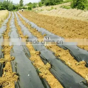 Materbatch for Weed Control Film in Agriculture thumbnail-1