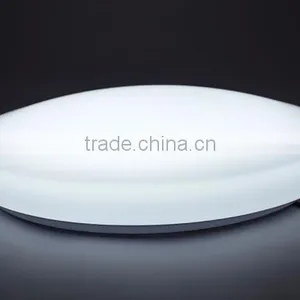 14w Led Ceiling Mounted Lamp thumbnail-3