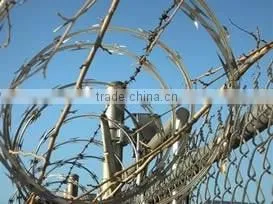 Hot Popular Low Price Galvanized Barbed Wire thumbnail-2