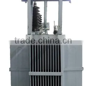 S11 Series 10 KV 15KV1000kva Oil Immersed Distribution Transformer thumbnail-2