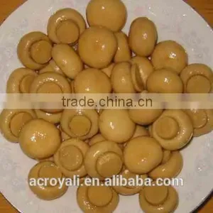 Canned Mushroom thumbnail-1
