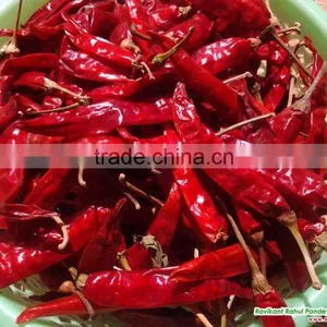 Bullet Red Pepper thumbnail-4