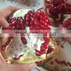 Fresh Pomegranate for Sales thumbnail-5