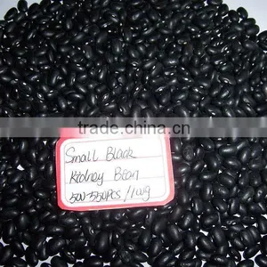 Small Black Bean Chinese Origin thumbnail-4