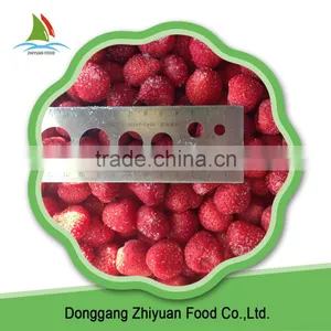 Iqf Frozen Strawberry Dice 10mm Yogurt thumbnail-6