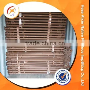 Television Adjustable Steel Shoring Prop thumbnail-4