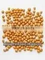 Yellow Mustard Seeds thumbnail-1