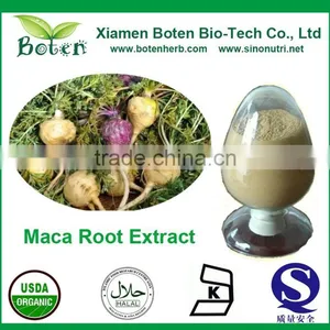 Natural Maca Root Extract Powder thumbnail-1