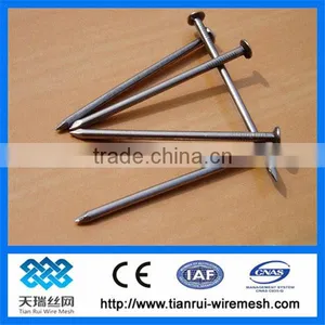 Nail/concrete Nail/wire Nail thumbnail-1