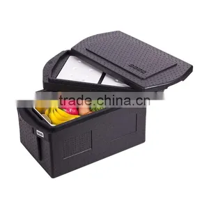 Plastic Isothermal Container thumbnail-4