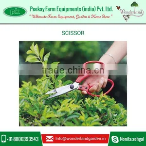 Superior Quality Top Selling Garden Scissor for Sale thumbnail-2
