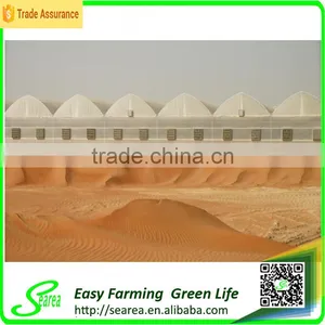 Hot Sale Small Size Agriculture Solar Tent/green House for Sale thumbnail-5