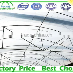 Film Cover Material and Multi-Span Agricultural Commercial Greenhouses thumbnail-2