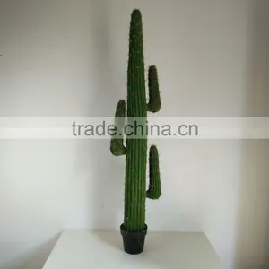 SJ3001009 High Imitation Cactus Plant/indoor Decoration Cactus Plant thumbnail-4
