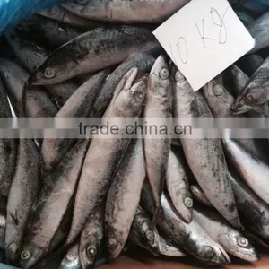 Frozen Seafood Mackerel Fish thumbnail-3