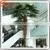 Hot Sale Fake Outdoor Decorative Metal Plastic Tall Palm Trees Canada thumbnail-5