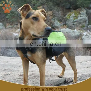 Hound Backpack thumbnail-4