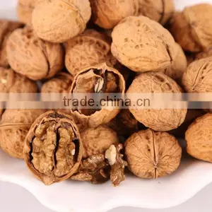 Walnut Without Shell/walnut Meat/walnut Kernel thumbnail-1