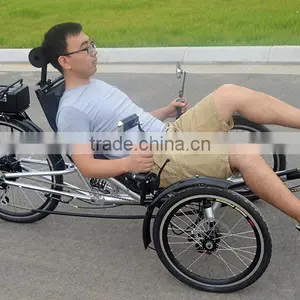Electric Recumbent Trike Built for One thumbnail-6