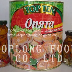 Canned Nameko Mushrooms thumbnail-1