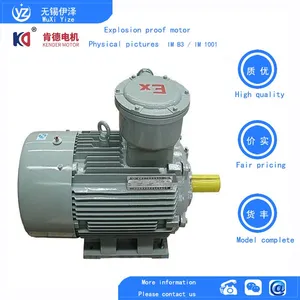 YFBX3 Dust Explosion-proof Motor thumbnail-4