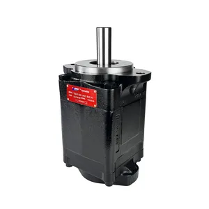 Through-axis Vane Pump T6DR-020-3R02-B20-A1 With Tail Drive Vane Hydraulic Pump T6DR-031-3R02-B20-A1 T6DR-042-3R02-B20-A1 thumbnail-2