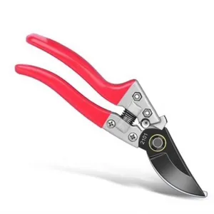 Knives & Scissors thumbnail-1