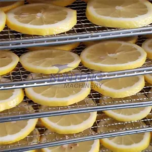 Commercial Dried Apple Chip Drying Machine Mango Pulp Dryer Machine Kiwi Fruit Dryers thumbnail-4