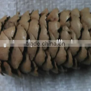 Christmas Tree Decoration Natural Glitter Pine Cone Wreath thumbnail-1