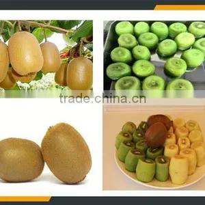 Leader Low Price Kiwi Peeling Machine thumbnail-4