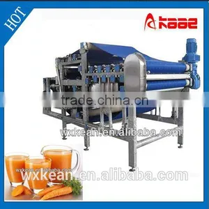 Industrial Vegetable Juicing Machine With ISO and CE Manufactured in Wuxi Kaae thumbnail-1